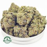 Buy Cannabis Gas Leak AAAA at MMJ Express Online Shop