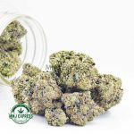 Buy Cannabis Gas Leak AAAA at MMJ Express Online Shop