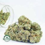 Buy Cannabis Fruity Widow AAAA at MMJ Express Online Shop