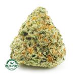 Buy Cannabis Green Poison AAAA at MMJ Express Online Shop