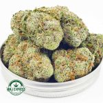 Buy Cannabis Green Poison AAAA at MMJ Express Online Shop