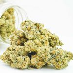 Buy Cannabis Platinum Kush AAAA at MMJ Express Online Shop