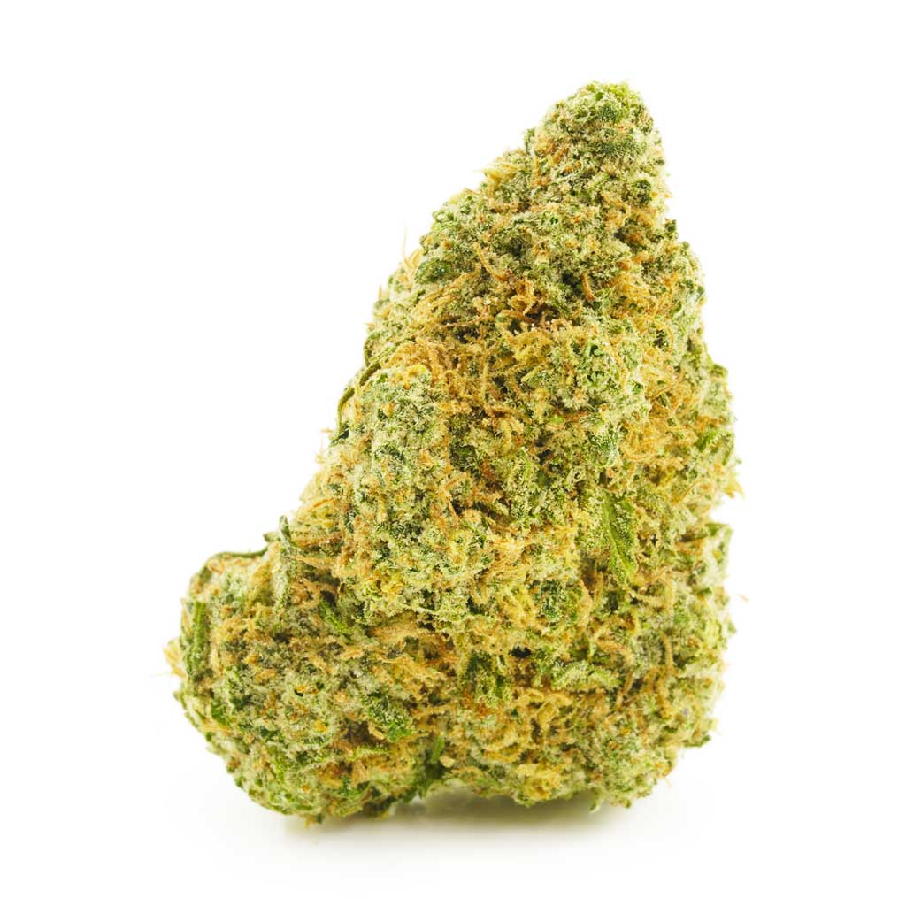 Buy Cannabis King Louie XIII AAAA at MMJ Express Online Shop
