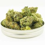 Buy Cannabis Mendo Breath AAAA at MMJ Express Online Shop