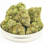 Buy Cannabis Master Kush AAAA at MMJ Express Online Shop