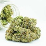 Buy Cannabis Master Kush AAAA at MMJ Express Online Shop