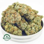 Buy Cannabis Purple Barney Rockstar AAA at MMJ Express Online Shop