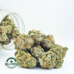 Buy Cannabis Purple Barney Rockstar AAA at MMJ Express Online Shop