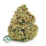 Buy Cannabis Purple Chemdawg AAA at MMJ Express Online Shop