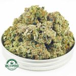 Buy Cannabis Purple Chemdawg AAA at MMJ Express Online Shop