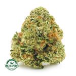 Buy Cannabis Firewalker OG AAA at MMJ Express Online Shop