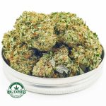 Buy Cannabis Firewalker OG AAA at MMJ Express Online Shop