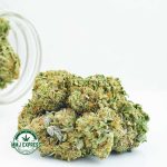 Buy Cannabis Firewalker OG AAA at MMJ Express Online Shop