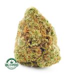 Buy Cannabis God's Gift AA at MMJ Express Online Shop