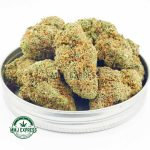 Buy Cannabis God's Gift AA at MMJ Express Online Shop