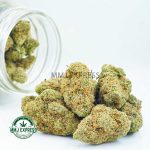 Buy Cannabis God's Gift AA at MMJ Express Online Shop