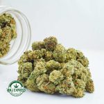 Buy Cannabis Mango Sherbet AAAA (Popcorn Nugs) MMJ Express Online Shop