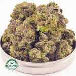 Buy Cannabis Mule Fuel AAAA (Popcorn Nugs) at MMJ Express Online Shop