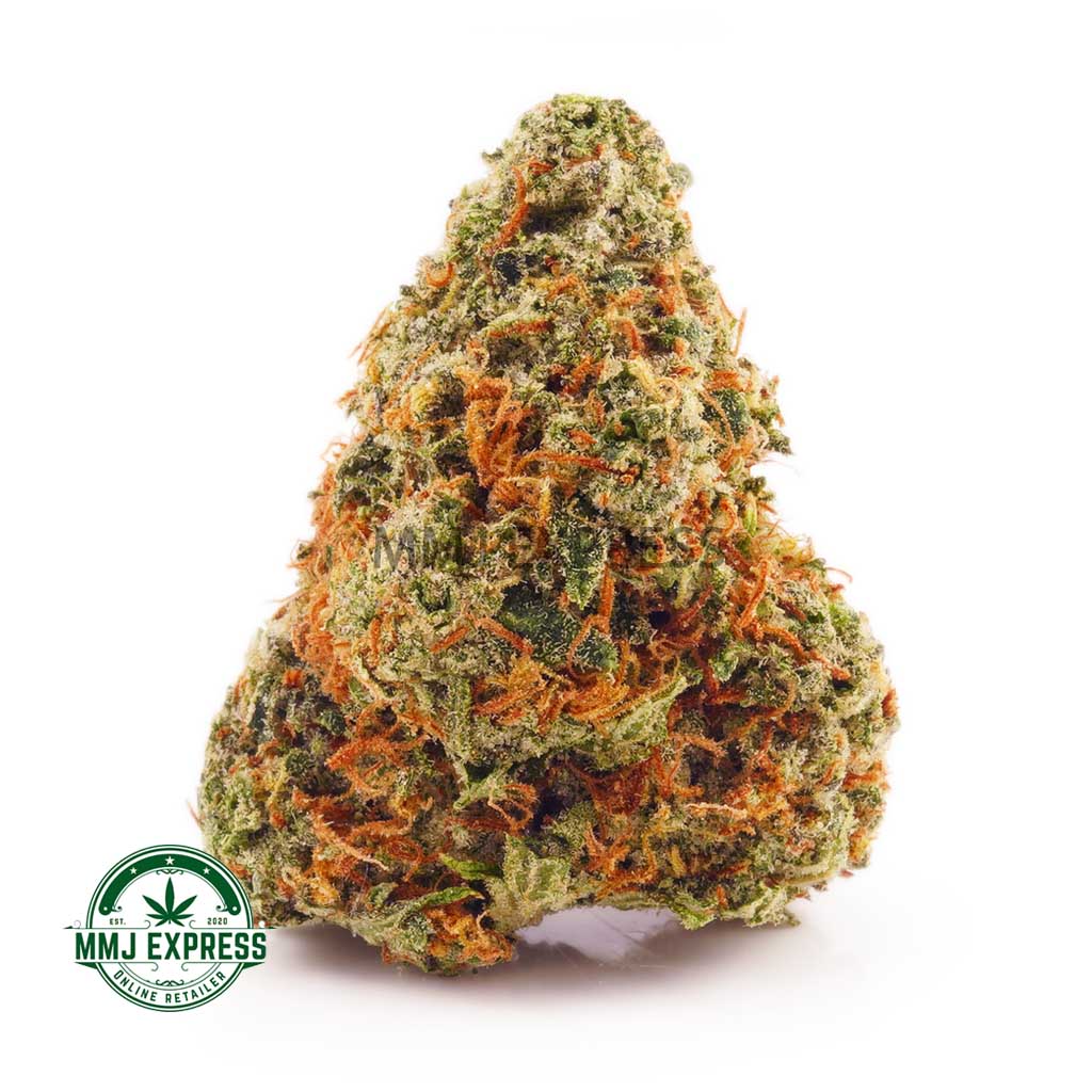 Buy Cannabis Jack Herer AAA at MMJ Express Online Shop