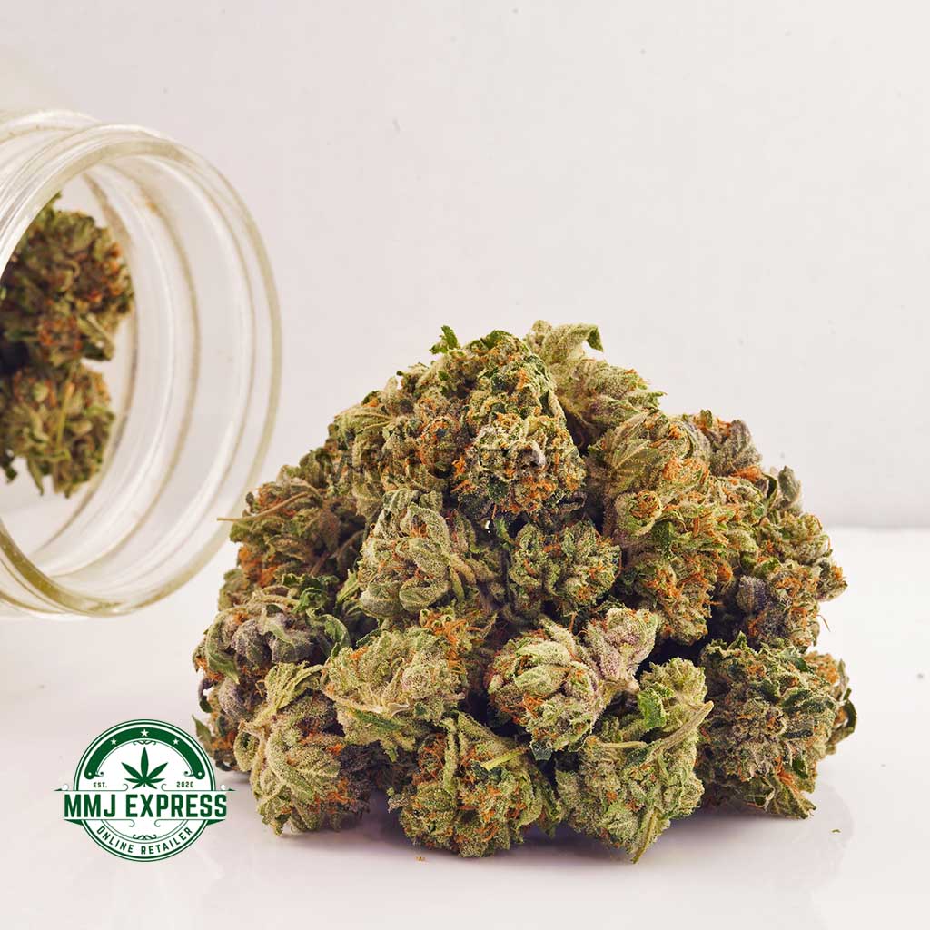 Buy Cannabis Double OG Chem AAAA (Popcorn Nugs) MMJ Express Online Shop