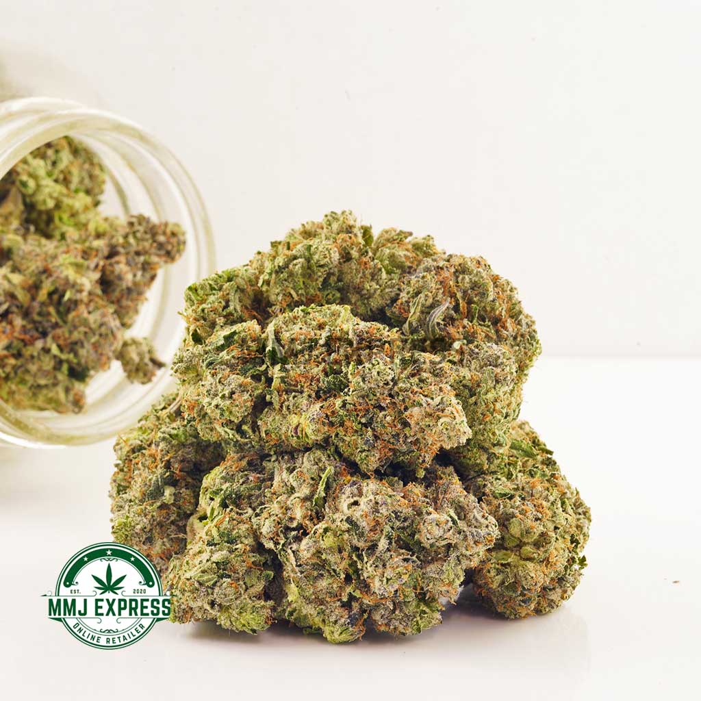 Buy Cannabis Four Star General AAAA at MMJ Express Online Shop