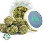 Buy Cannabis Gas Leak - Island Pink Kush AAAA at MMJ Express Online Shop