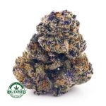 Buy Cannabis Purple Biscotti AAA at MMJ Express Online Shop