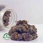 Buy Cannabis Purple Biscotti AAA at MMJ Express Online Shop