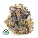 Buy Cannabis Purple Candy AA at MMJ Express Online Shop