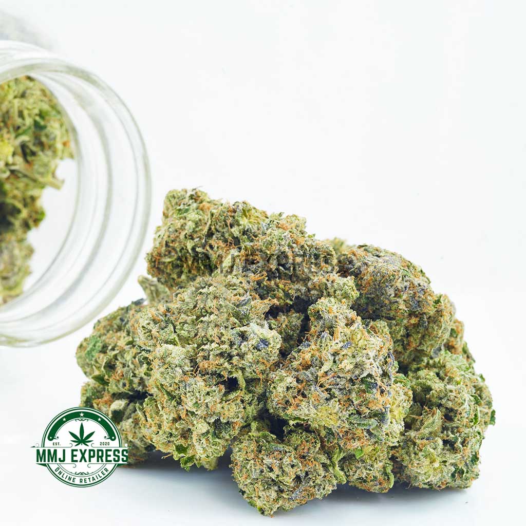 Buy Cannabis Purple Punch AAA at MMJ Express Online Shop