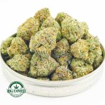 Buy Purple Pug's Breath AAAA (Popcorn Nugs) at MMJ Express Online Retailer