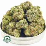 Buy Cannabis Do Si Do AAAA at MMJ Express Online Shop