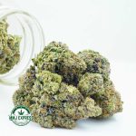 Buy Cannabis Do Si Do AAAA at MMJ Express Online Shop