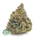 Buy Cannabis Ultra Death Bubba AAAA+, Craft at MMJ Express Online Shop