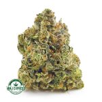 Buy Cannabis OG Kush Breath aka OGKB AAAA at MMJ Express Online Shop