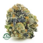 Buy Cannabis Candyland AA at MMJ Express Online Shop