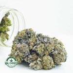 Buy Cannabis Candyland AA at MMJ Express Online Shop