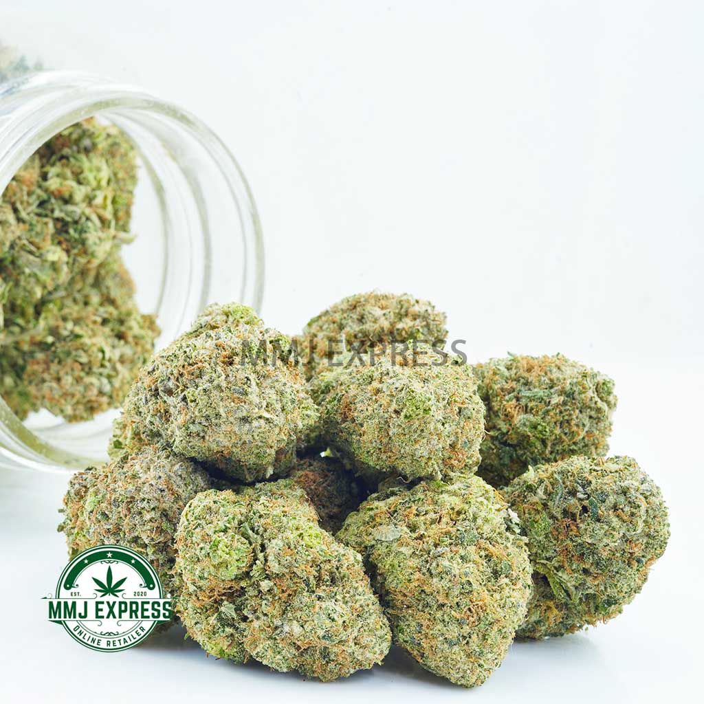 Buy Cannabis Sundae Driver AA at MMJ Express Online Shop