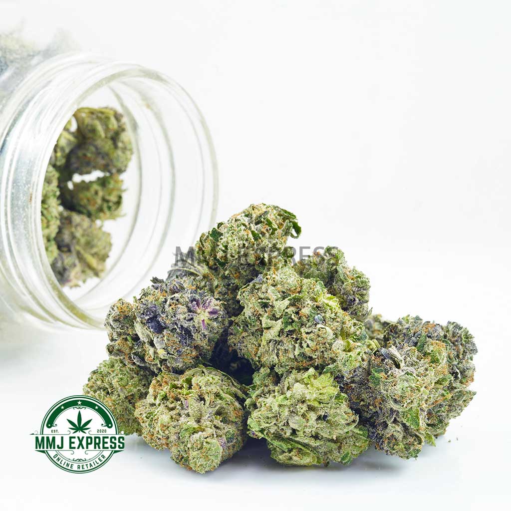 Buy Cannabis Purple God Bud AAA at MMJ Express Online Shop