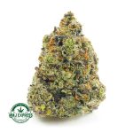 Buy Cannabis 89 Octane AAAA at MMJ Express Online Shop