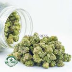Buy Cannabis Blue Unicorn AAAA (Popcorn Nugs) MMJ Express Online Shop