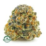 Buy Cannabis Purple Crush AA at MMJ Express Online Shop