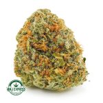 Buy Cannabis King's Kush AA at MMJ Express Online Shop