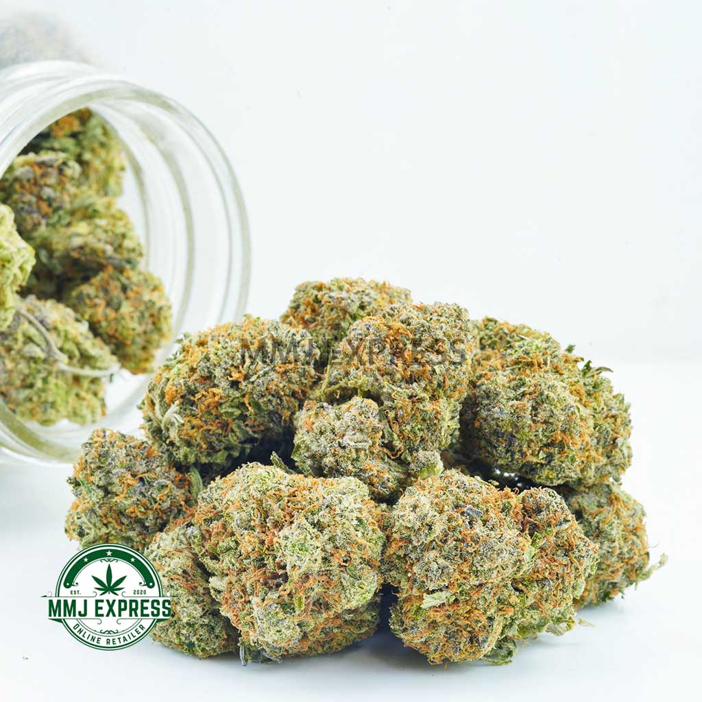 Buy Cannabis King's Kush AA at MMJ Express Online Shop