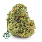 Buy Cannabis God Bud AA at MMJ Express Online Shop