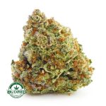Buy Cannabis Blueberry Supreme AA at MMJ Express Online Shop