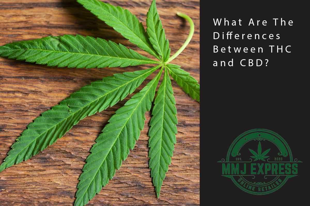 mmj blog differences