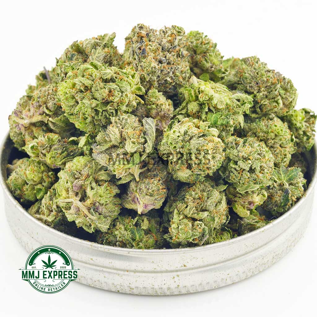 Buy Cannabis Motorbreath AAAA (Popcorn Nugs) MMJ Express Online Shop