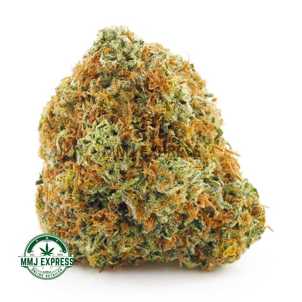 Buy Cannabis Blueberry Dream  AA at MMJ Express Online Shop