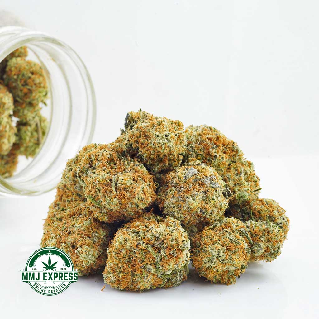 Buy Cannabis Blueberry Dream  AA at MMJ Express Online Shop